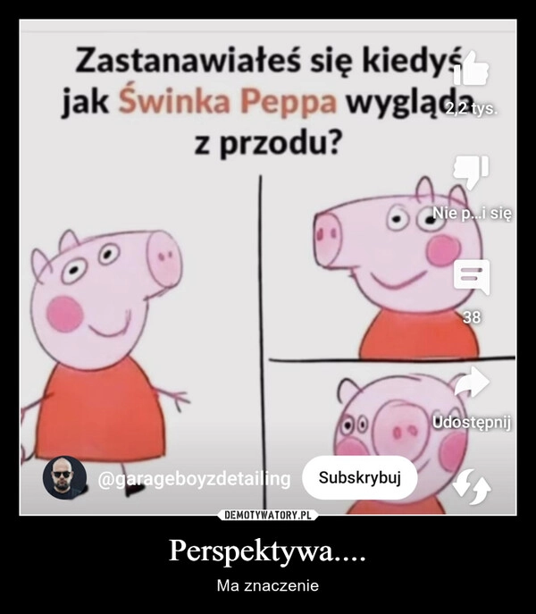 
    Perspektywa....