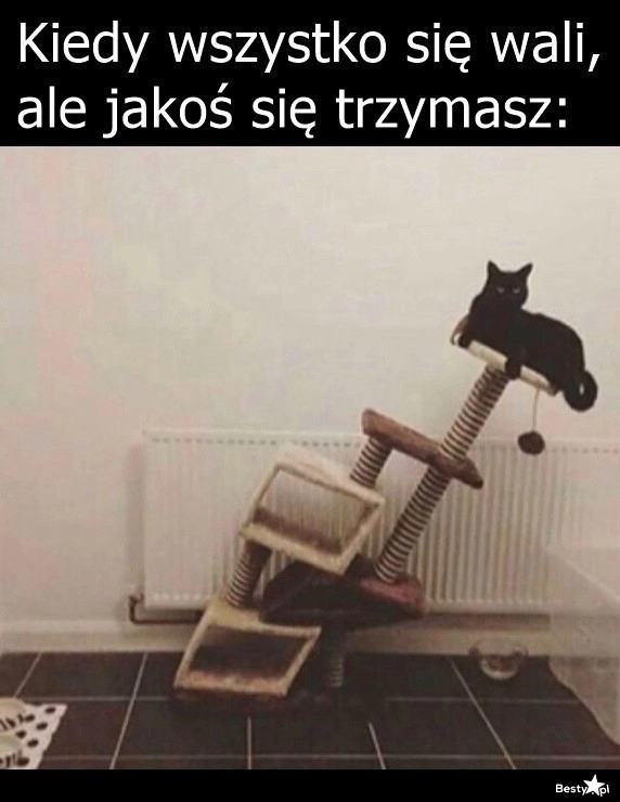 
    Jakoś trzeba 