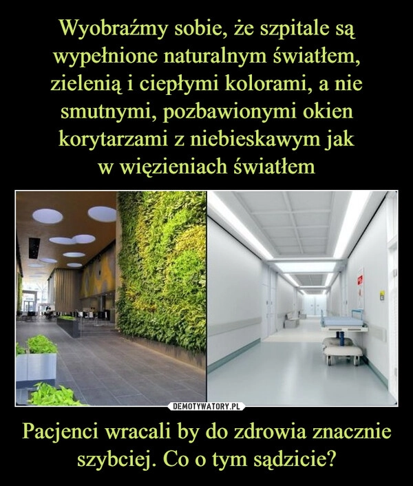 
    Wyobraźmy sobie, że szpitale są wypełnione naturalnym światłem, zielenią i ciepłymi kolorami, a nie smutnymi, pozbawionymi okien korytarzami z niebieskawym jak
w więzieniach światłem Pacjenci wracali by do zdrowia znacznie szybciej. Co o tym sądzicie?