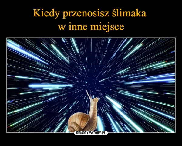 
    Kiedy przenosisz ślimaka 
w inne miejsce