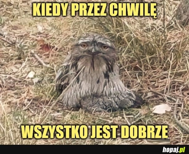 
    Jest dobrze.