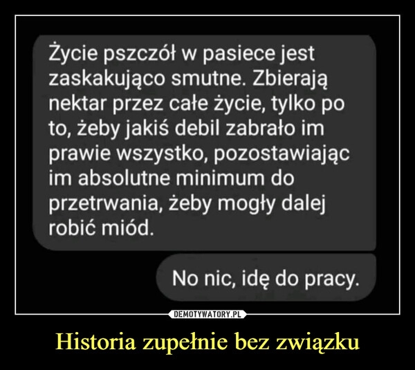 
    Historia zupełnie bez związku 