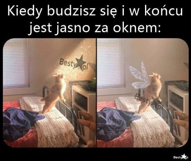 
    Od razu inaczej się wstaje 