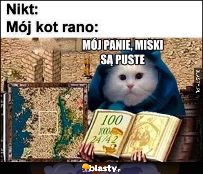 
    Nikt, mój kot rano: mój panie, miski są puste