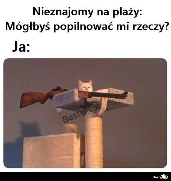 
    Pilnowanie rzeczy na plaży 