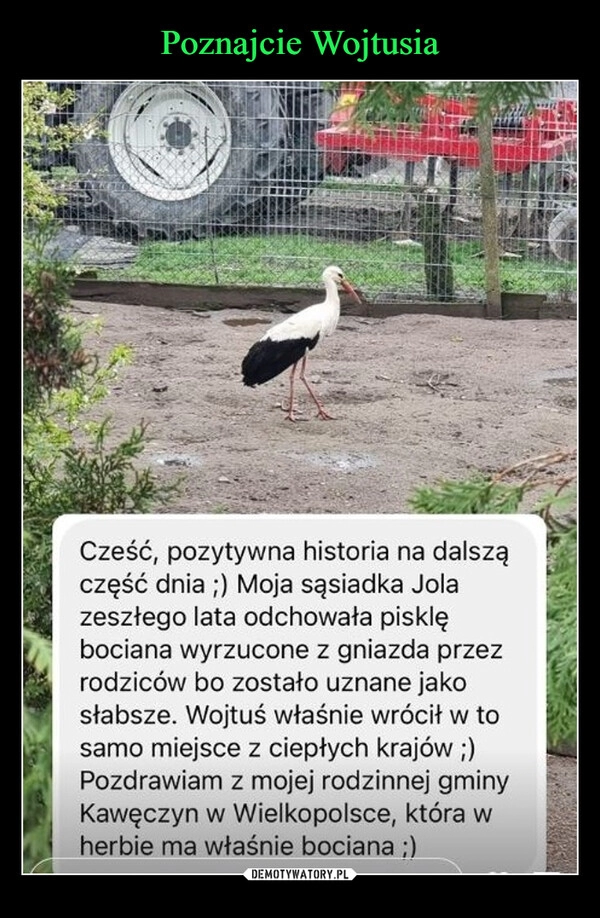 
    Poznajcie Wojtusia