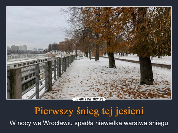 
    Pierwszy śnieg tej jesieni