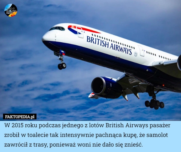 
    W 2015 roku podczas jednego z lotów British Airways pasażer zrobił w toalecie