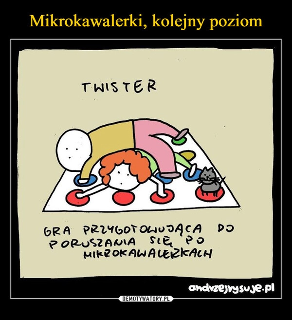 
    Mikrokawalerki, kolejny poziom