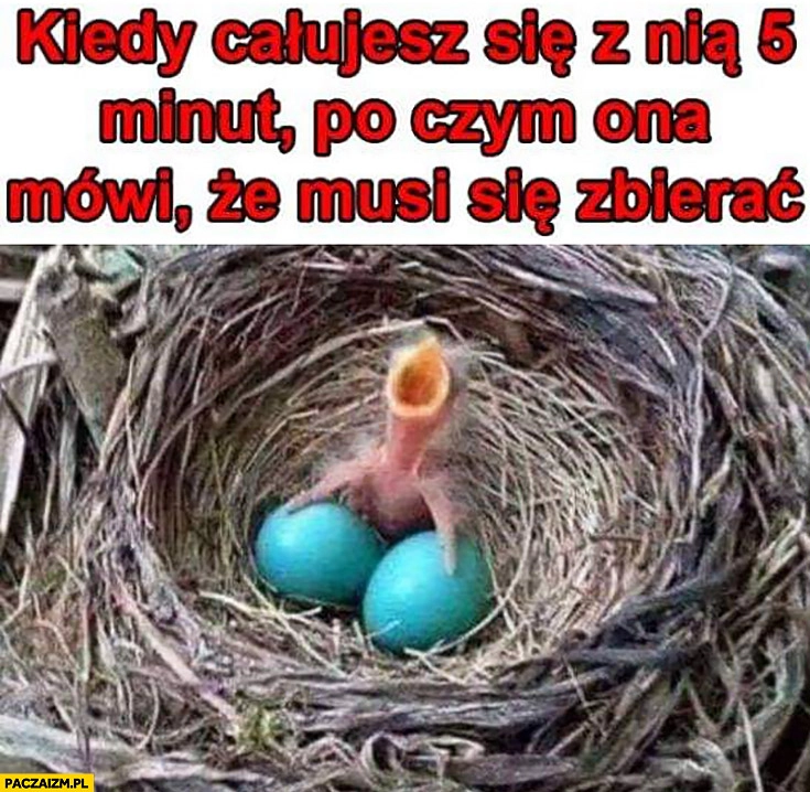
    Kiedy całujesz się z nią 5 minut po czym ona mówi, że musi się zbierać ptak wyje drze się