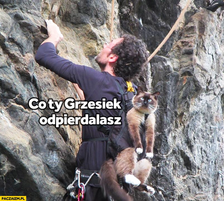 
    Co Ty Grzesiek odpierdalasz kot wspinaczka