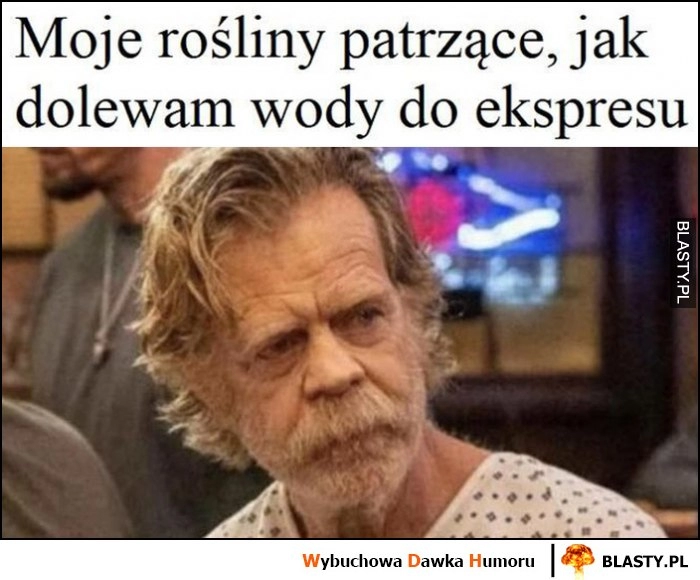 
    Moje rośliny patrzące jak dolewam wody do ekspresu suche zasuszone