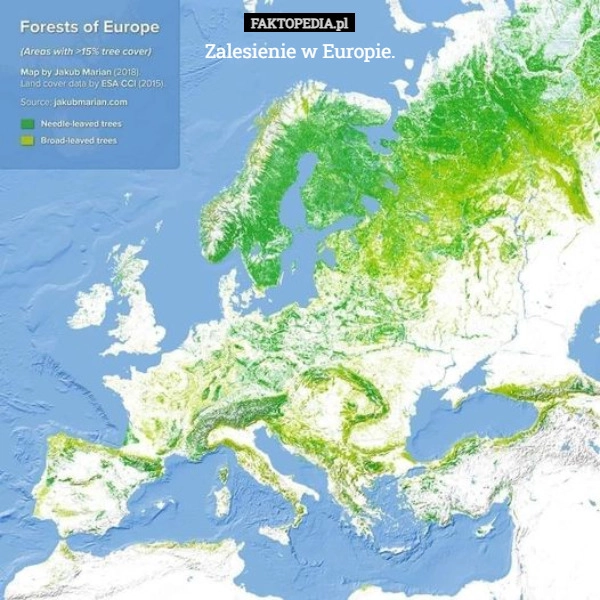 
    Zalesienie w Europie.