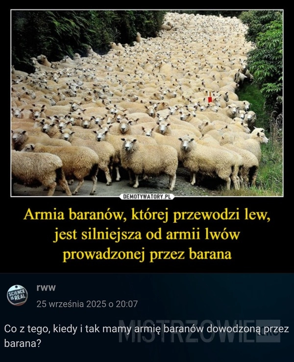 
    Armia